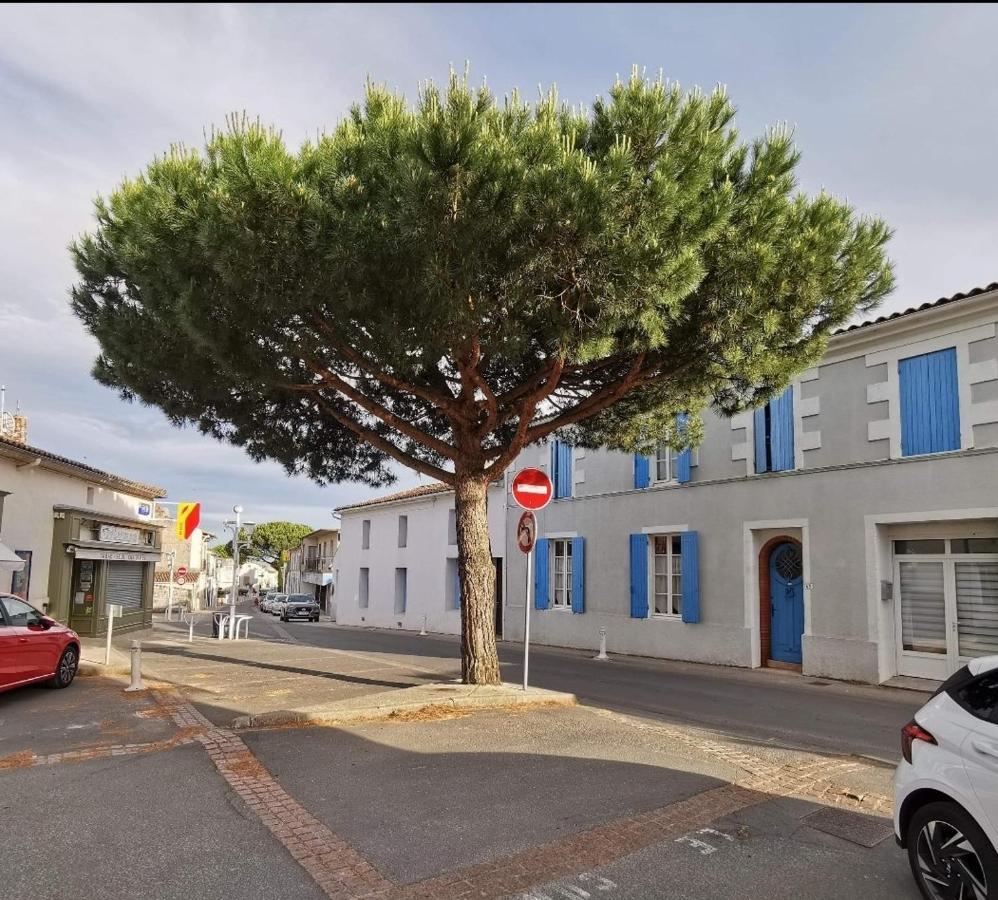 Charmant Appartement Dans Centre Meschers/Gironde Екстер'єр фото
